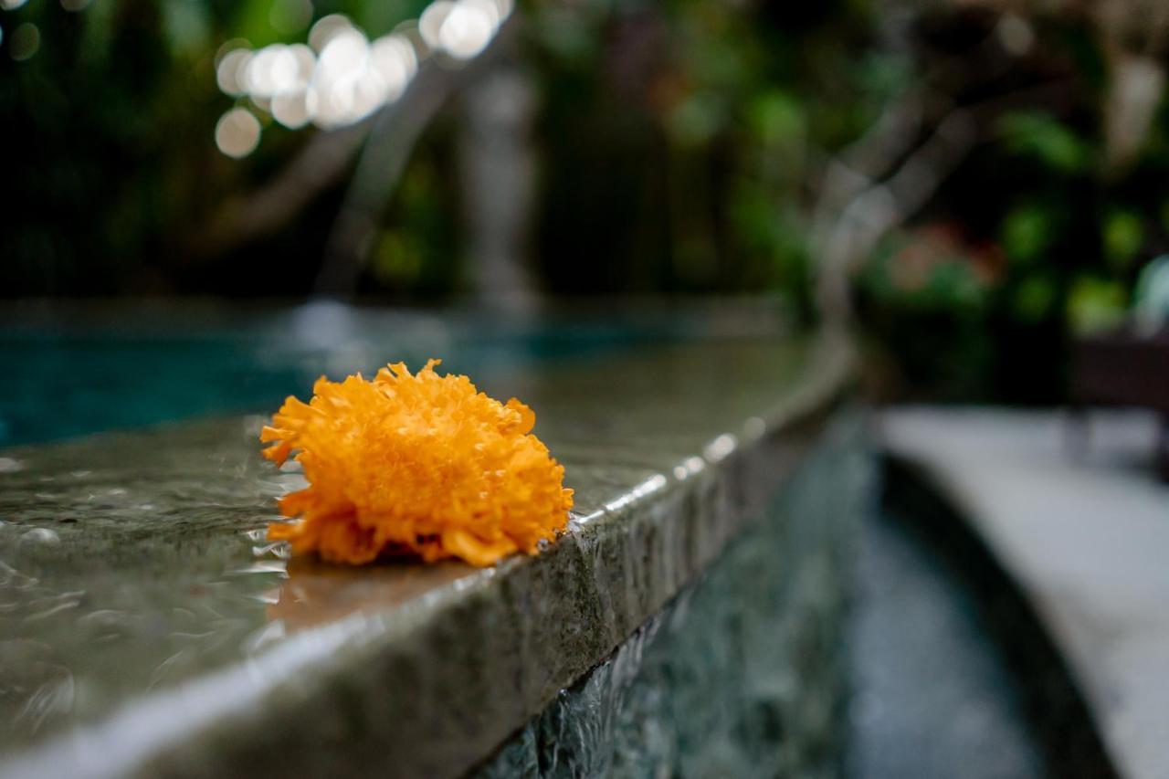 D'Bale Ananda Ubud Villa ภายนอก รูปภาพ
